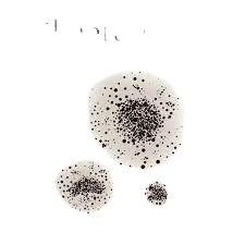 callusapro.com-Mold Removal & Remediation Services-Service-banner 12