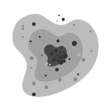 callusapro.com-Mold Removal & Remediation Services-Service-banner 11