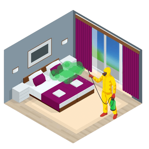 callusapro.com-Mold Removal & Remediation Services-Service-banner 06